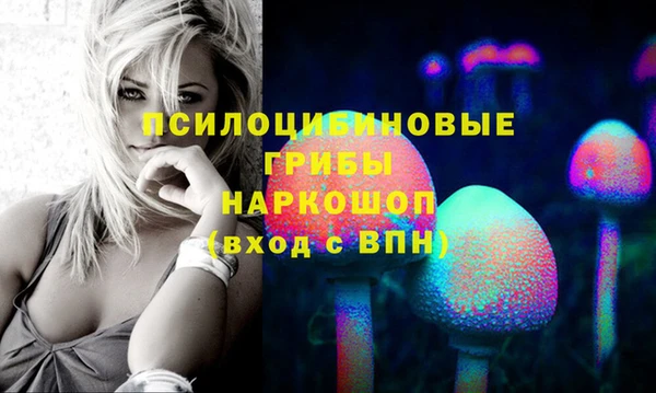 первитин Белокуриха